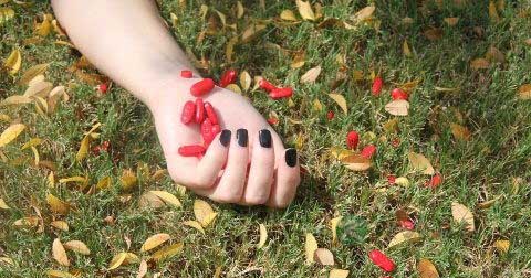 女性精神分裂症病因