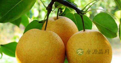 肠胃不好怎么办呢