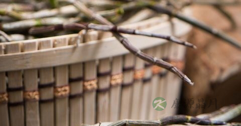 十二指肠溃疡吃中药好还是西药好