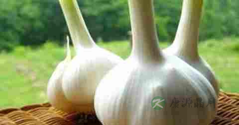 肠道排毒食疗