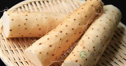 调理肠道的食物