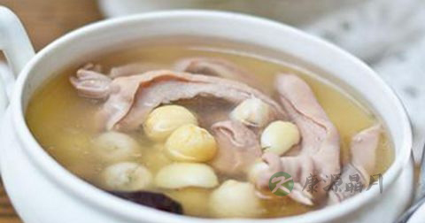调理肠道的食物