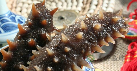 海参炖多长时间