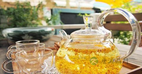 桂花茶可以天天喝吗