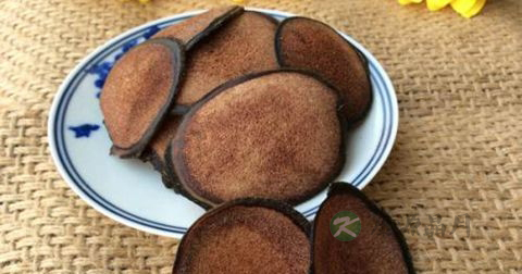经期可以吃鹿茸吗