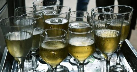 人参和蛇能一起泡酒吗