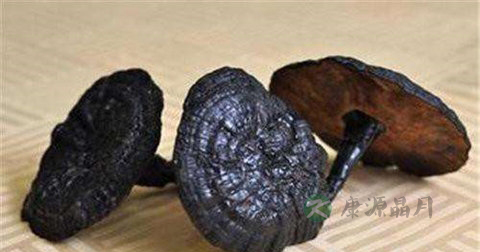 黑色灵芝是什么灵芝