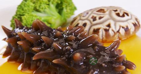 海参能和牛肉一起吃吗