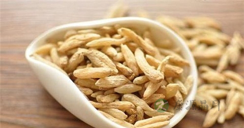 麦冬的适用人群