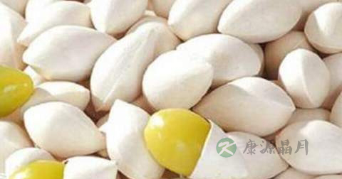 感冒能吃白果吗