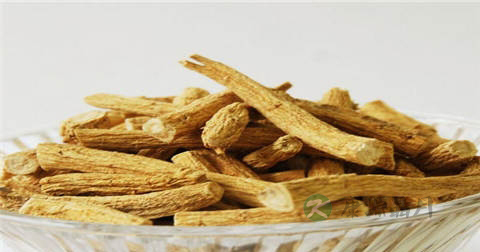夏天可以吃西洋参吗