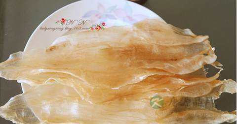 燕窝和鱼胶哪个好