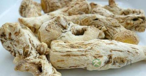 阴虚火旺可以吃当归吗