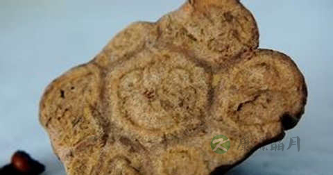 何首乌粉的食用方法