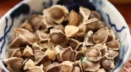 辣木籽有没有副作用