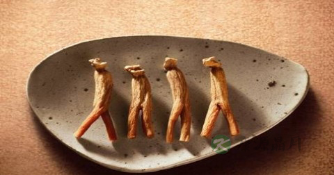 红参可以天天吃吗