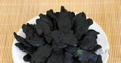 熟地可以泡水喝吗
