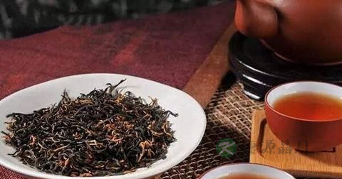 金骏眉是绿茶还是红茶