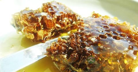 固体蜂胶怎么吃