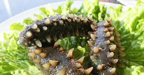 煮海参用什么锅
