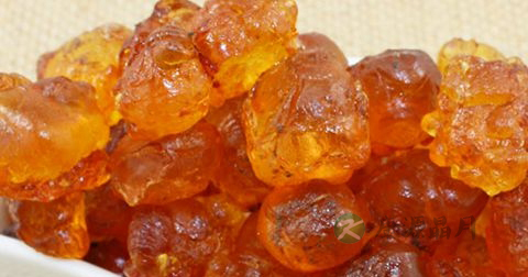 桃胶可以天天吃吗