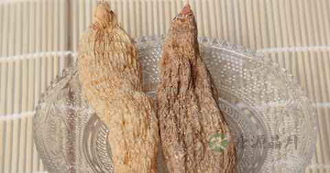 天麻可以泡水吗