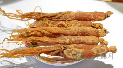 红参的功效与作用_红参的食用方法