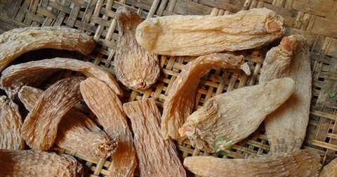 天麻吃了会上火吗