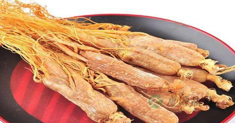 红参什么季节吃最好