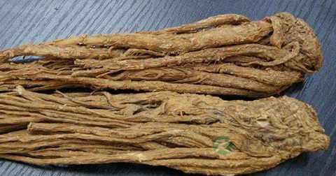 生当归跟炙当归的区别
