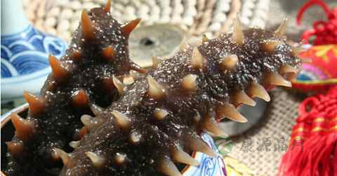 煮海参用什么锅