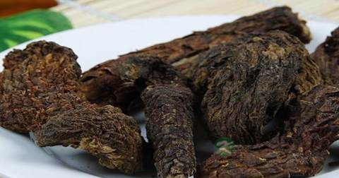 锁阳和肉苁蓉哪个好