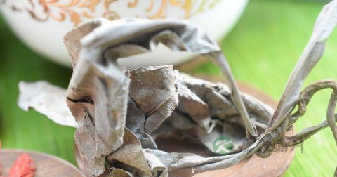 卡琪花蒂玛泡茶好吗