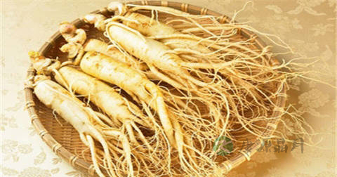 人参能经常吃吗？每天吃多少