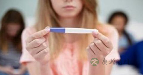排卵期能吃当归吗