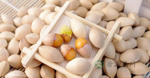 白果是什么样的