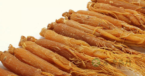 红参可以泡茶喝吗