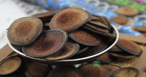 鹿茸怎样炖