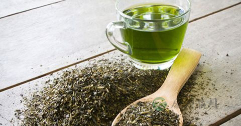 白茶属于红茶还是绿茶