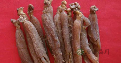 红参怎么泡水