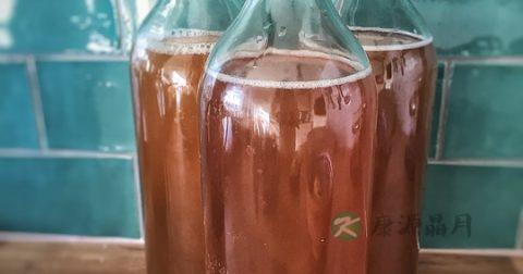 红茶菌的功效与作用及禁忌