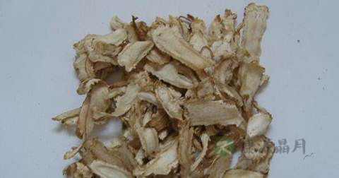 痛风可以吃当归吗