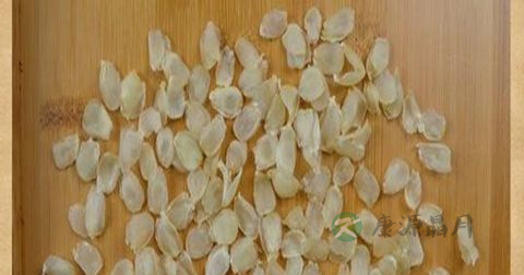 什么样的皂角米好