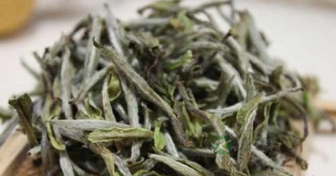 白茶陈年的好吗