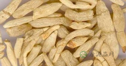 麦冬的适用人群