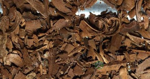 卡宾达树皮有什么作用