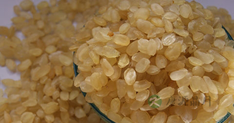 皂角米是什么植物