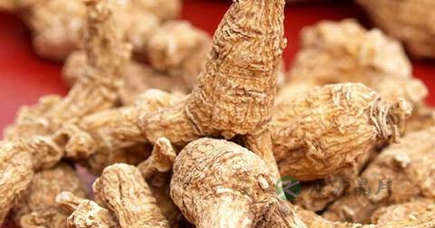 玄参和西洋参的区别