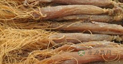 红参怎么切片