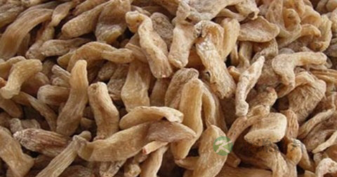 天麻可以治什么病